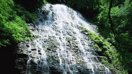 高效智慧